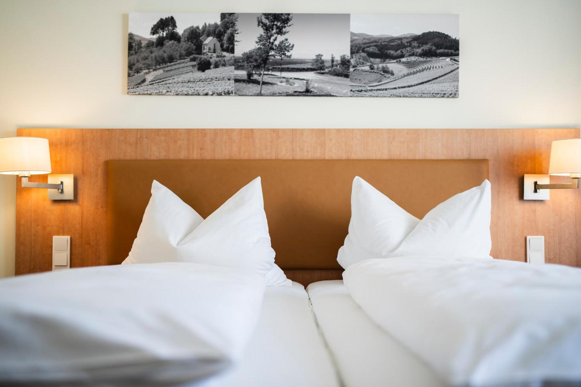 Hotel-Gasthof Rose Oberkirch  Eksteriør bilde