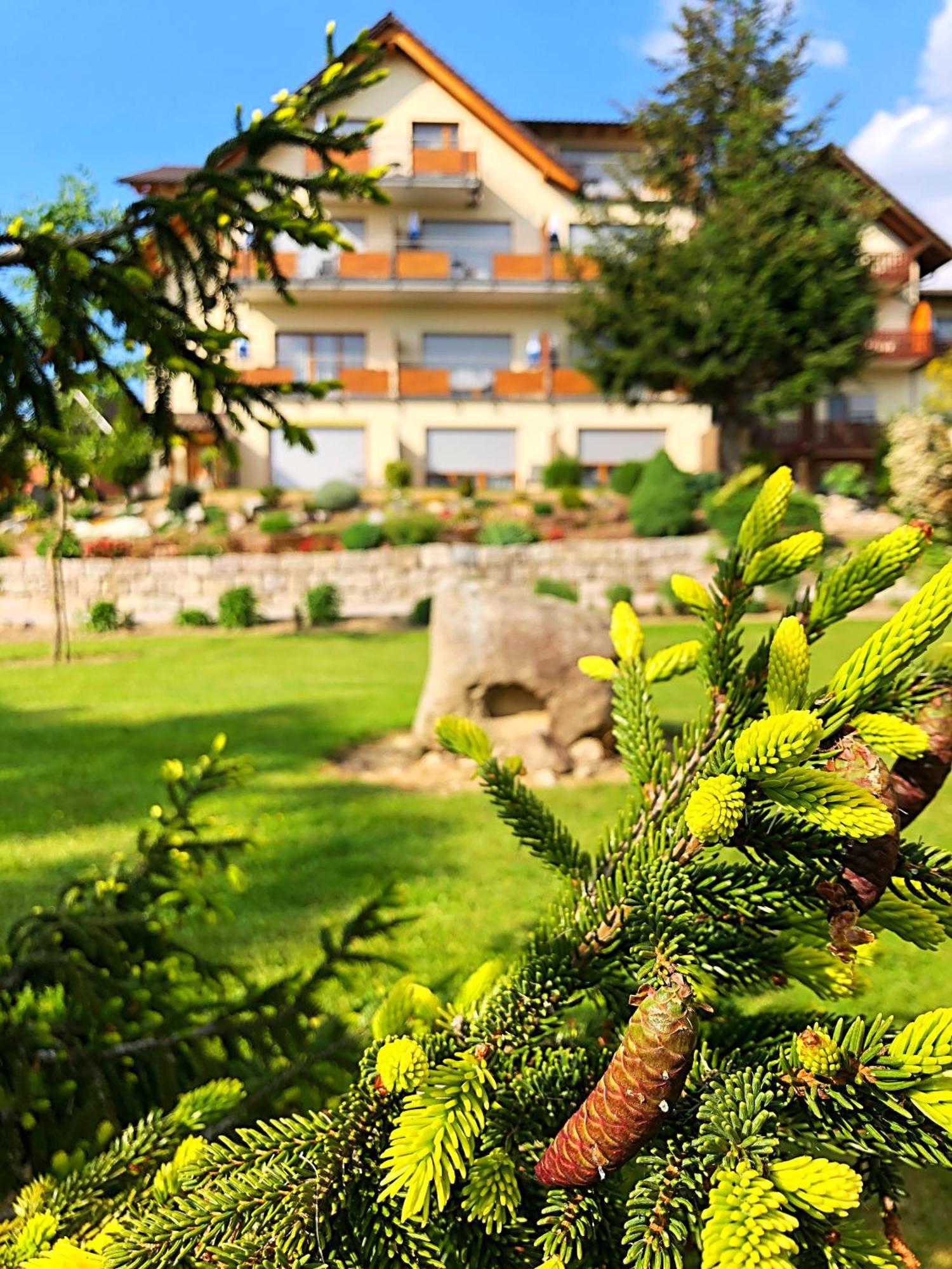 Hotel-Gasthof Rose Oberkirch  Eksteriør bilde