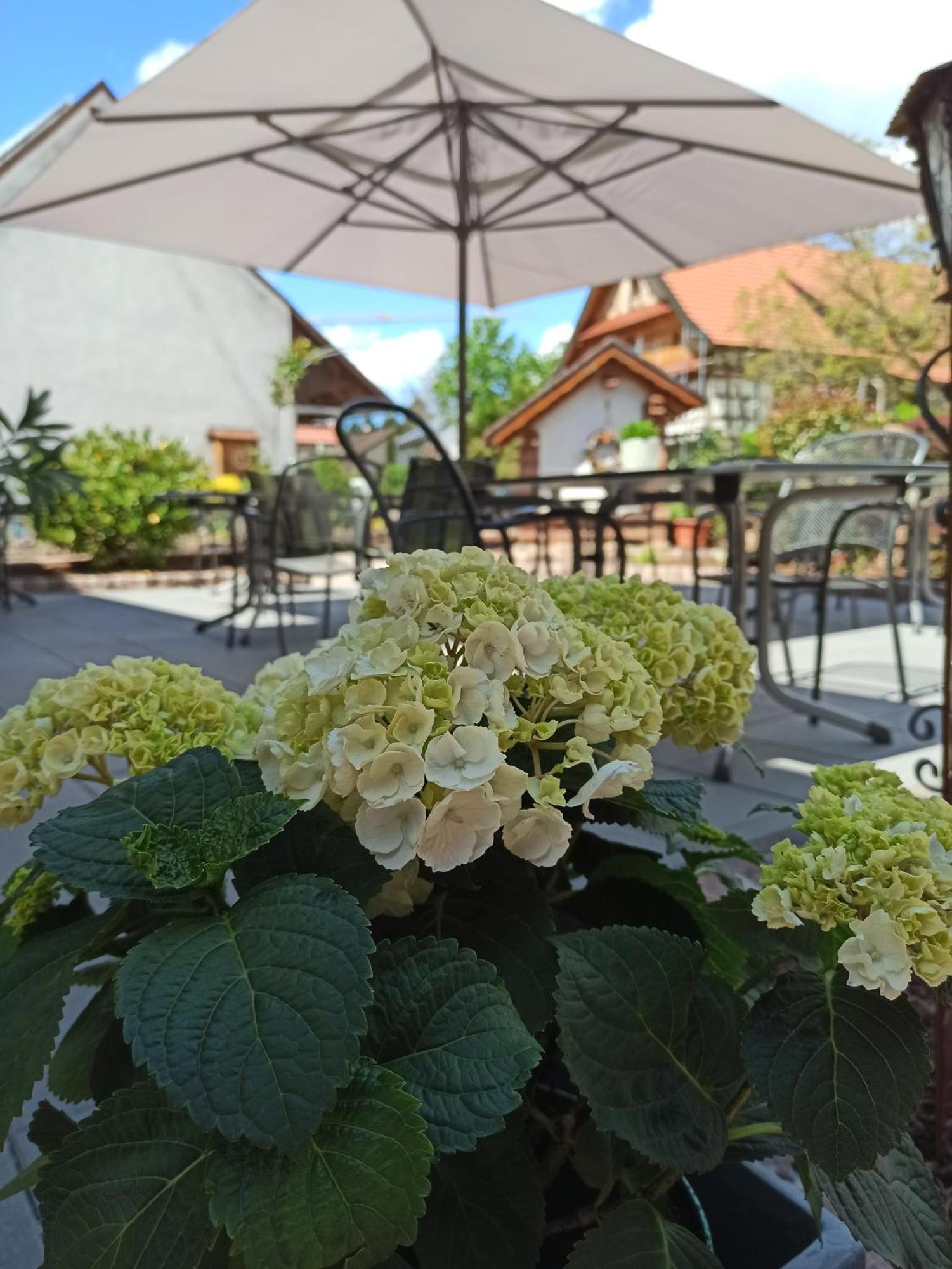 Hotel-Gasthof Rose Oberkirch  Eksteriør bilde