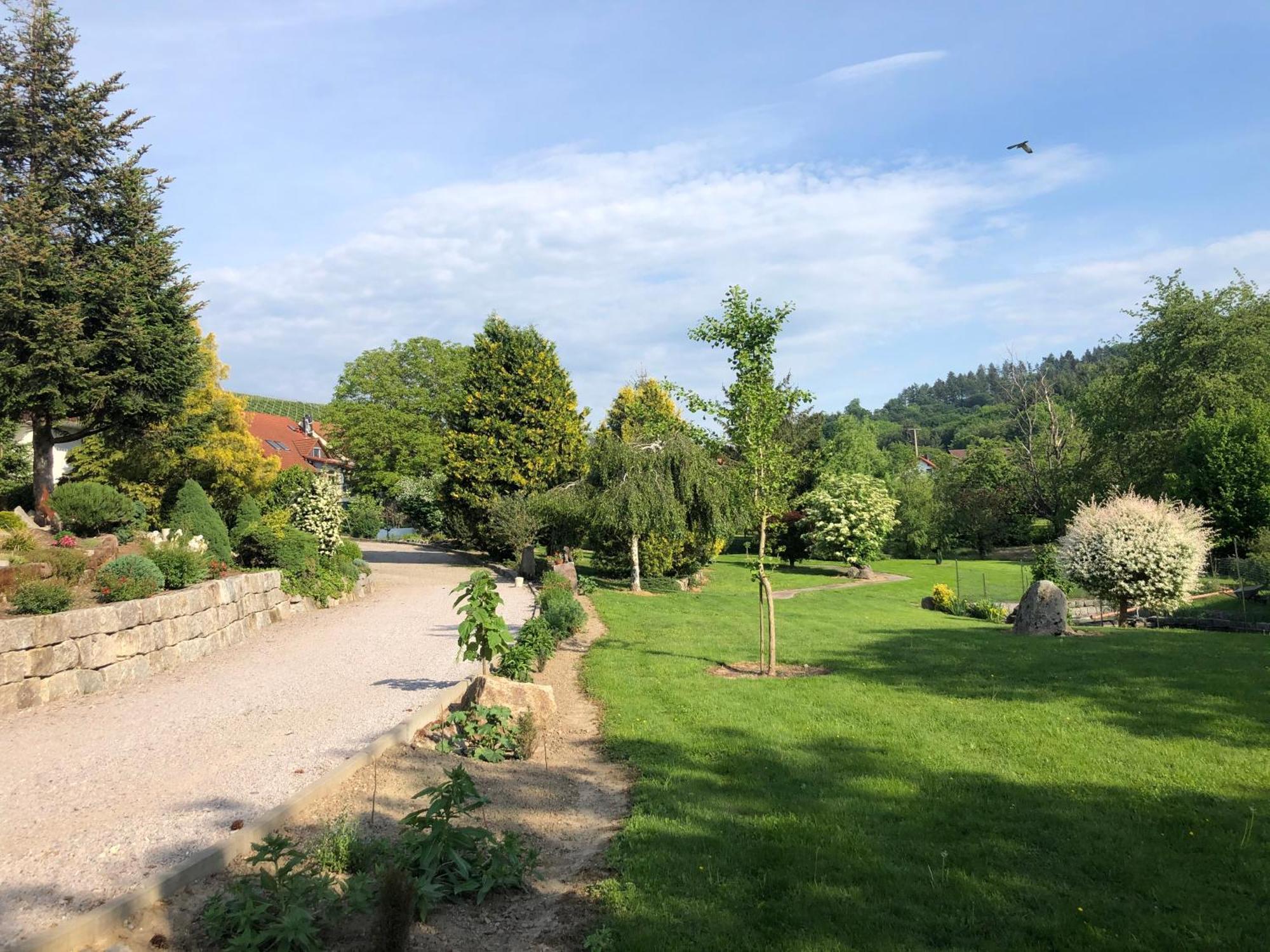 Hotel-Gasthof Rose Oberkirch  Eksteriør bilde